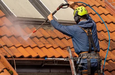 Démoussage et hydrofuge de toiture à Vivans